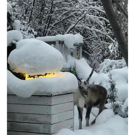 Snowcrystal Home With Jacuzzi And Sauna Ροβανιέμι Εξωτερικό φωτογραφία