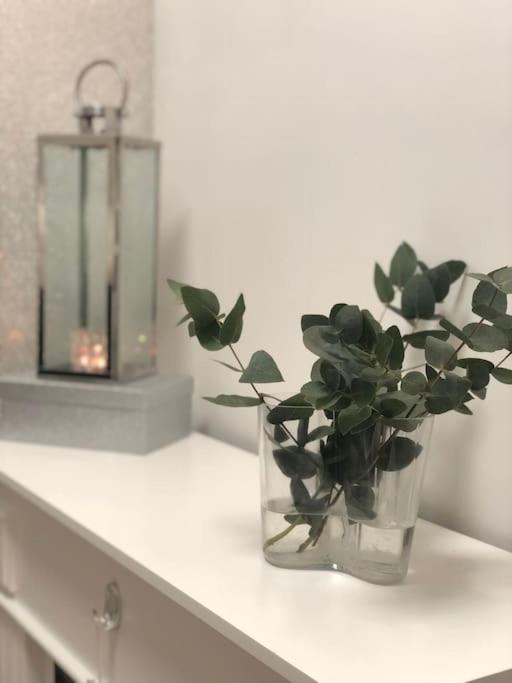 Snowcrystal Home With Jacuzzi And Sauna Ροβανιέμι Εξωτερικό φωτογραφία