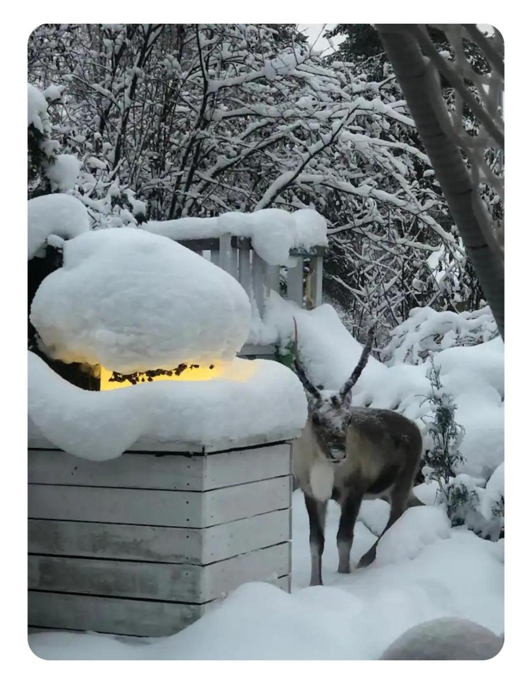 Snowcrystal Home With Jacuzzi And Sauna Ροβανιέμι Εξωτερικό φωτογραφία